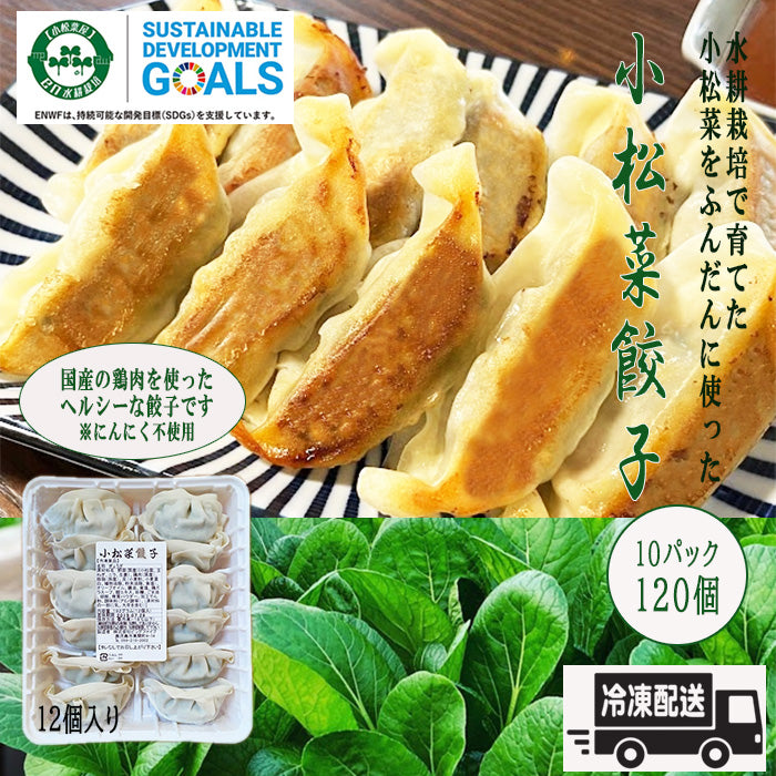 【小松菜餃子】EN WATER FARMS 水耕栽培 鹿児島県産小松菜 ギョーザ 国産 鶏肉 にんにく不使用 ヘルシー 冷凍 生餃子 10パックセット 120個