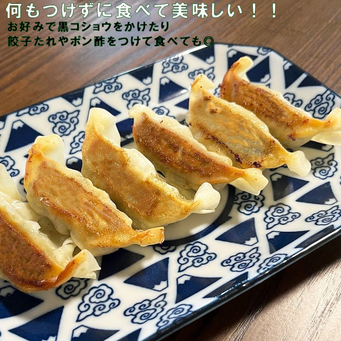 【小松菜餃子】EN WATER FARMS 水耕栽培 鹿児島県産小松菜 ギョーザ 国産 鶏肉 にんにく不使用 ヘルシー 冷凍 生餃子 5パックセット 60個