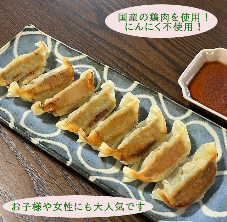 【小松菜餃子】EN WATER FARMS 水耕栽培 鹿児島県産小松菜 ギョーザ 国産 鶏肉 にんにく不使用 ヘルシー 冷凍 生餃子 5パックセット 60個