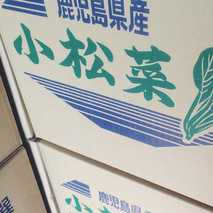 【小松菜餃子】EN WATER FARMS 水耕栽培 鹿児島県産小松菜 ギョーザ 国産 鶏肉 にんにく不使用 ヘルシー 冷凍 生餃子 5パックセット 60個
